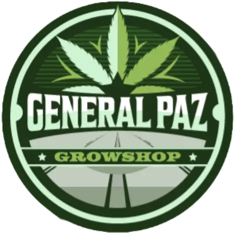 cropped adobe express file 1.png