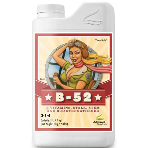 b 52 1l