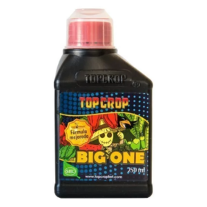big one 250ml