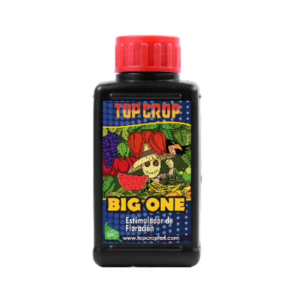big one 250ml