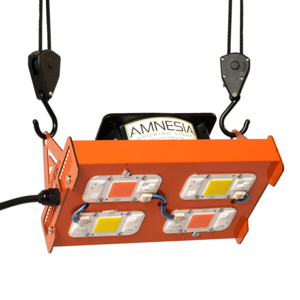 200w Mixto Amnesia LED