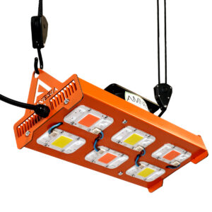 300w Mixto Amnesia LED