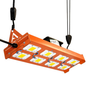 400w Calido Amnesia LED