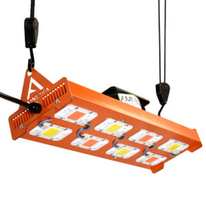 400w Mixto Amnesia LED