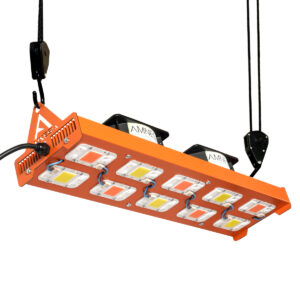 500w Mixto Amnesia LED