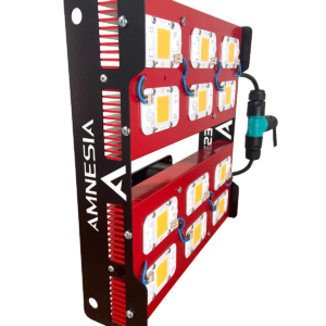 600w PRO Calido Amnesia LED