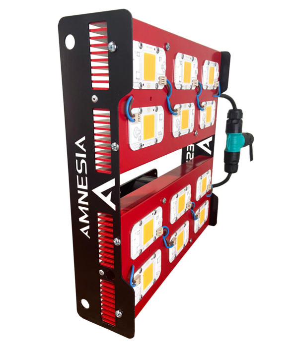 600w PRO Calido Amnesia LED