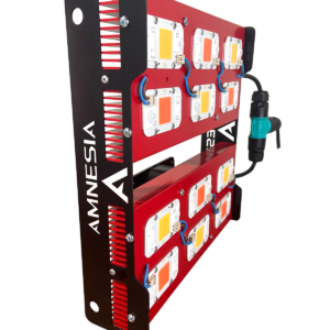 600w PRO Mixto Amnesia LED