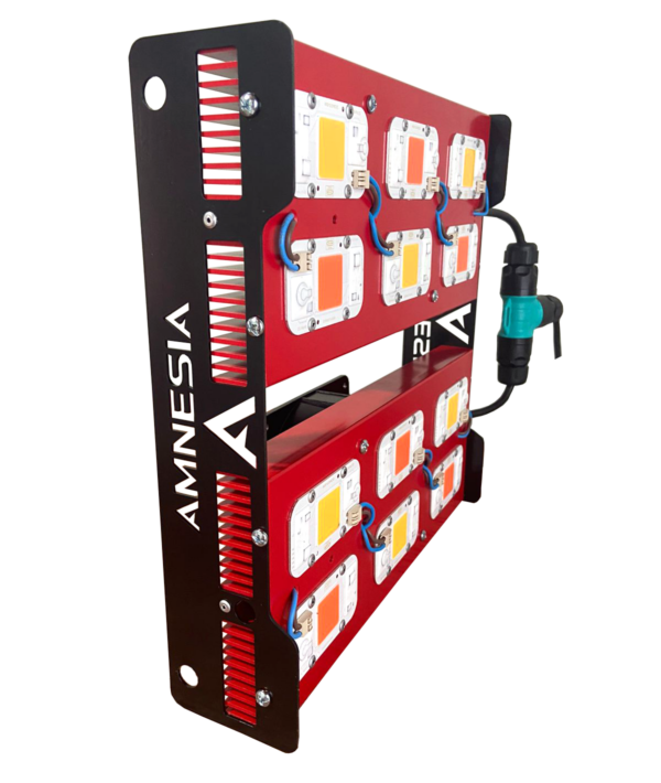 600w PRO Mixto Amnesia LED