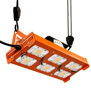 300w Samsung Cob Amnesia LED