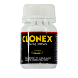 clonex 30ml