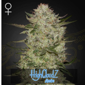 highcloudz auto x3
