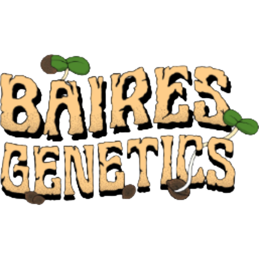 Baires Genetics