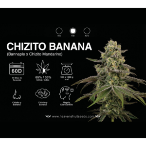 Chizito Banana x4