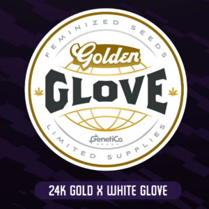 Golden Glove x5