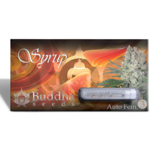 SYRUP AUTO X3