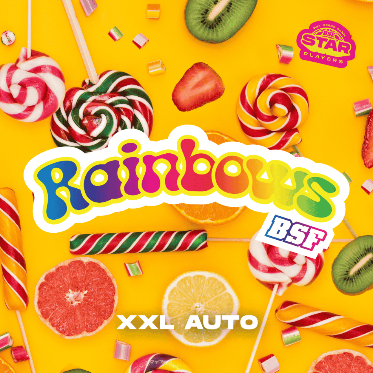 RAINBOWS XXL AUTO X2
