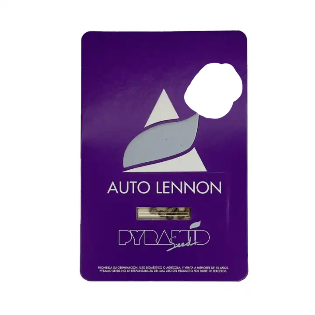 LENNON AUTO X1