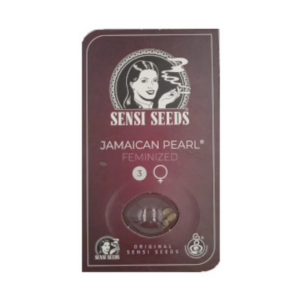 Jamaican Pearl x3