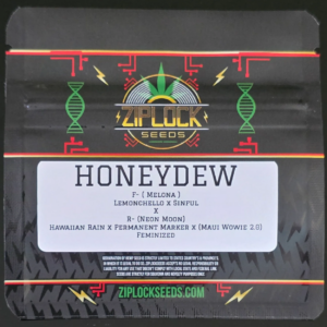 HONEYDEW X6