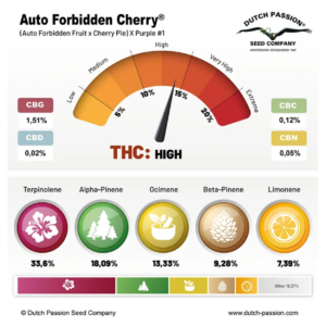 FORBIDDEN CHERRY AUTO X3