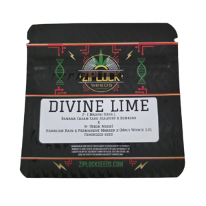 DIVINE LIME X6