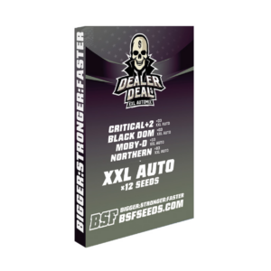 Dealer Deal MIX AUTO x12