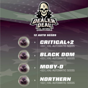 Dealer Deal MIX AUTO x12