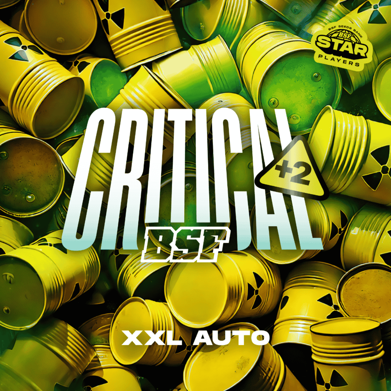 CRITICAL #2 AUTO X2