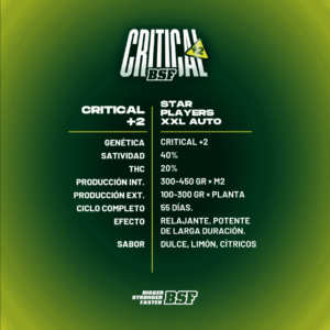 CRITICAL #2 AUTO X2