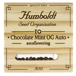 CHOCO MINT OG AUTO X3