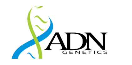 ADN Seeds