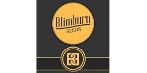 BlimBurn
