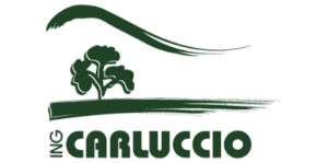 Carluccio