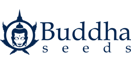 Buddha Seeds