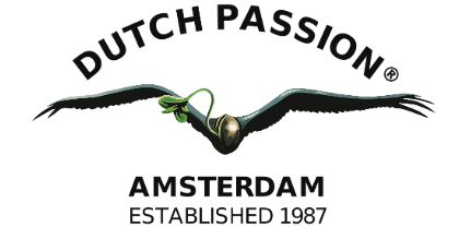 Dutch Passion
