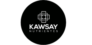 Kawsay