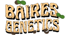 Baires Genetics