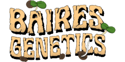 Baires Genetics