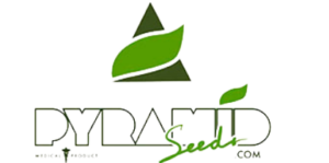 PYRAMID SEEDS