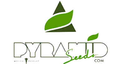 PYRAMID SEEDS