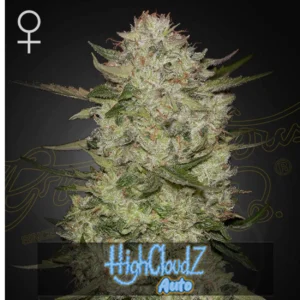 Highcloudz AUTO x3